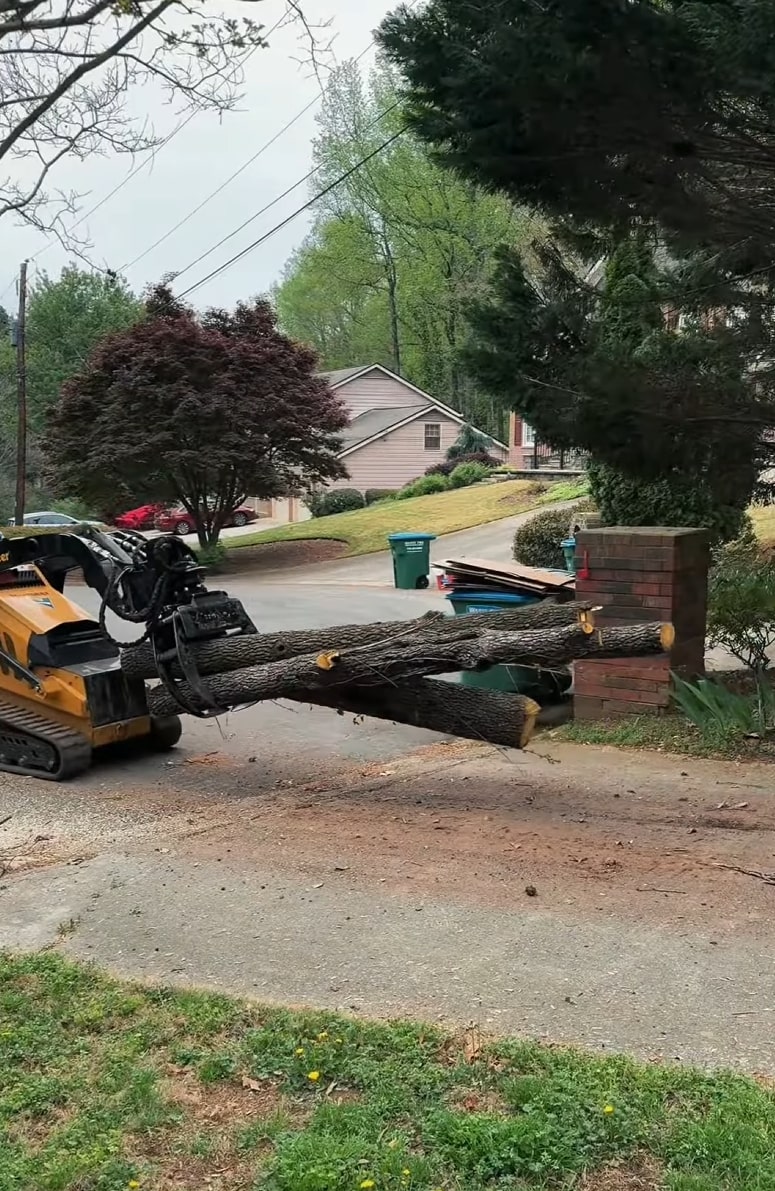 Safe Tree Removal - Professional equipment protecting your property Heavy machinery removing large tree trunk from residential driveway