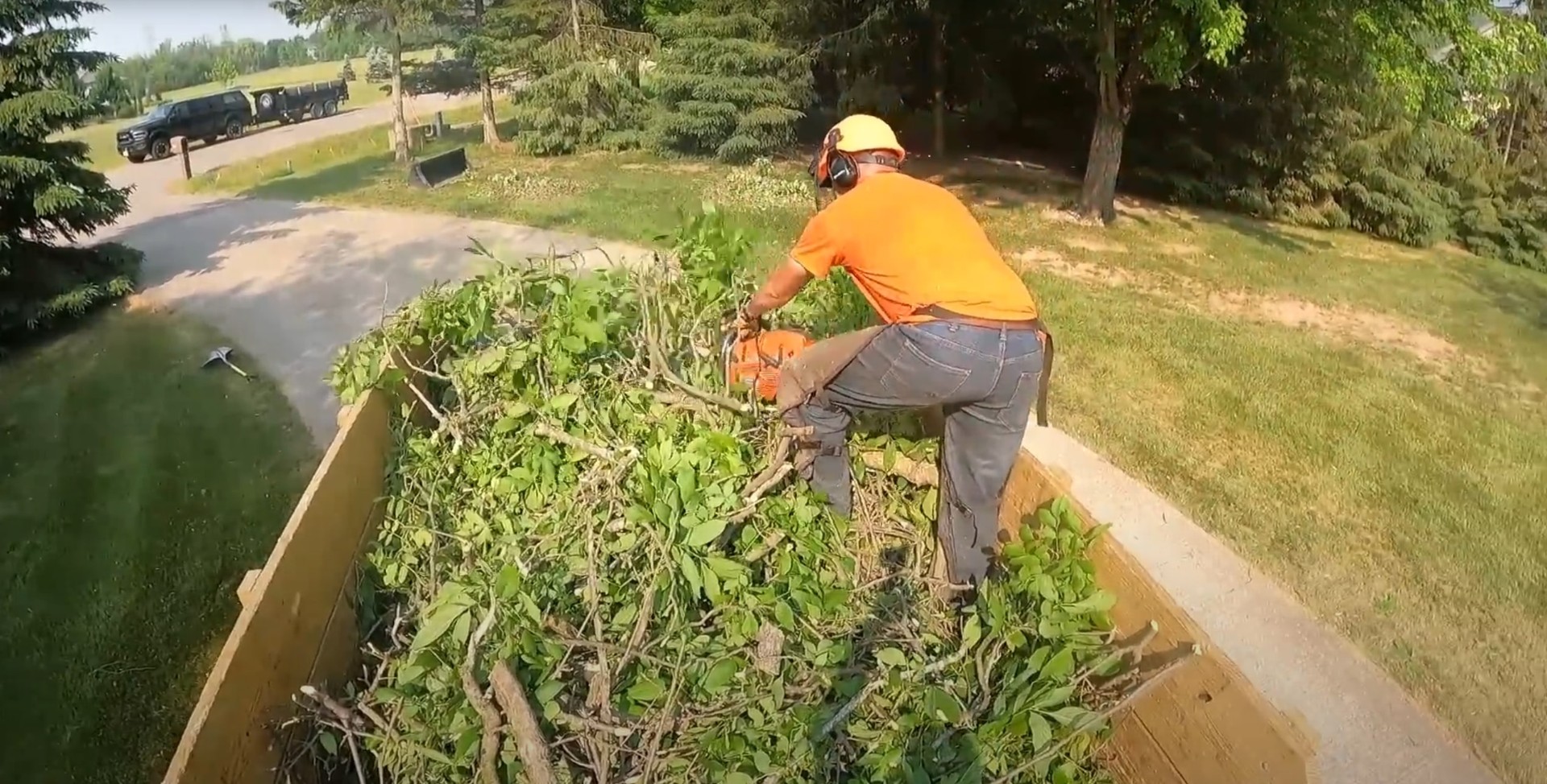 Stump grinding service - Professional equipment for complete stump elimination Tree service professional cutting stump with chainsaw for complete removal