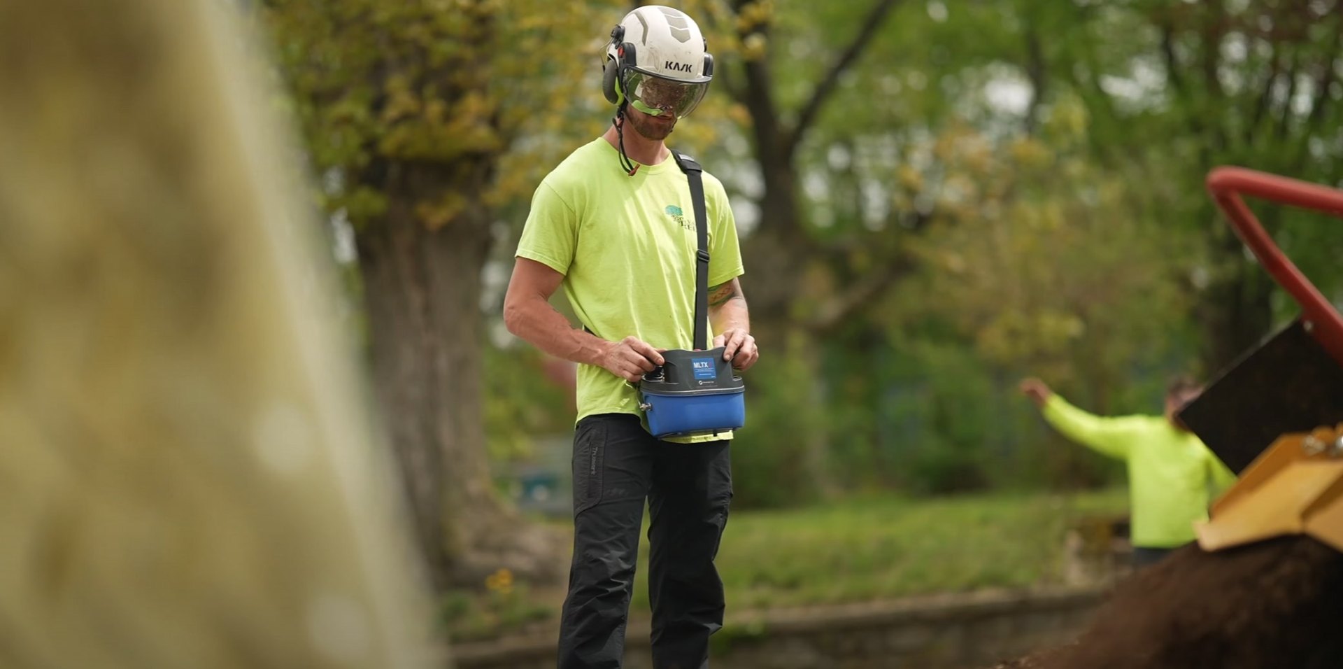 Expert tree care services - Professional equipment and certified techniques Professional arborist using specialized equipment for safe tree trimming in Brentwood