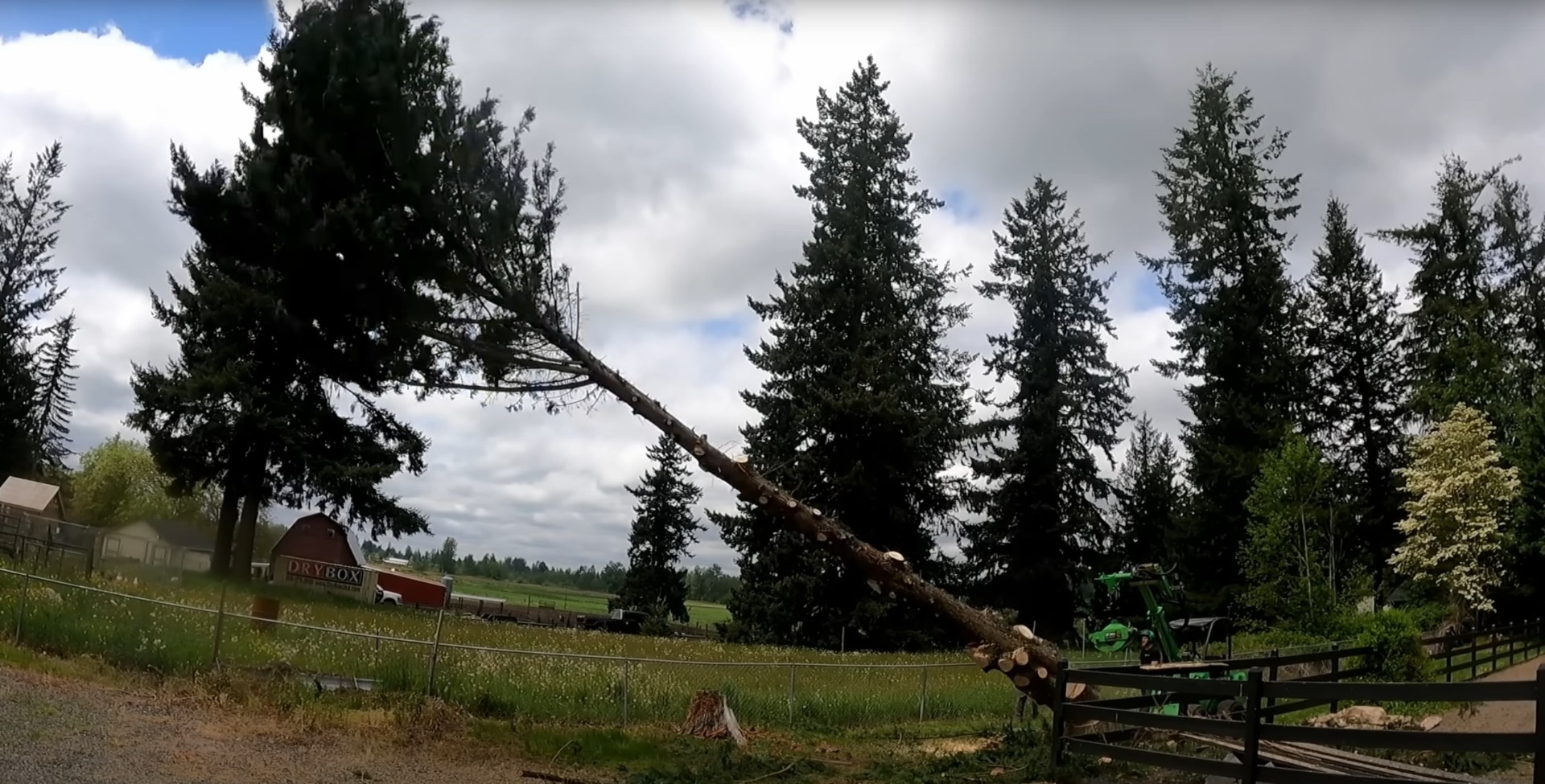 Professional tree removal - Crane-assisted cutting for large trees in confined spaces Large tree being professionally cut down with crane equipment in residential area