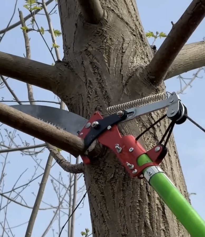 Precision Tree Pruning - Professional equipment for safe and accurate tree cutting Professional tree pruning equipment in action on large tree trunk