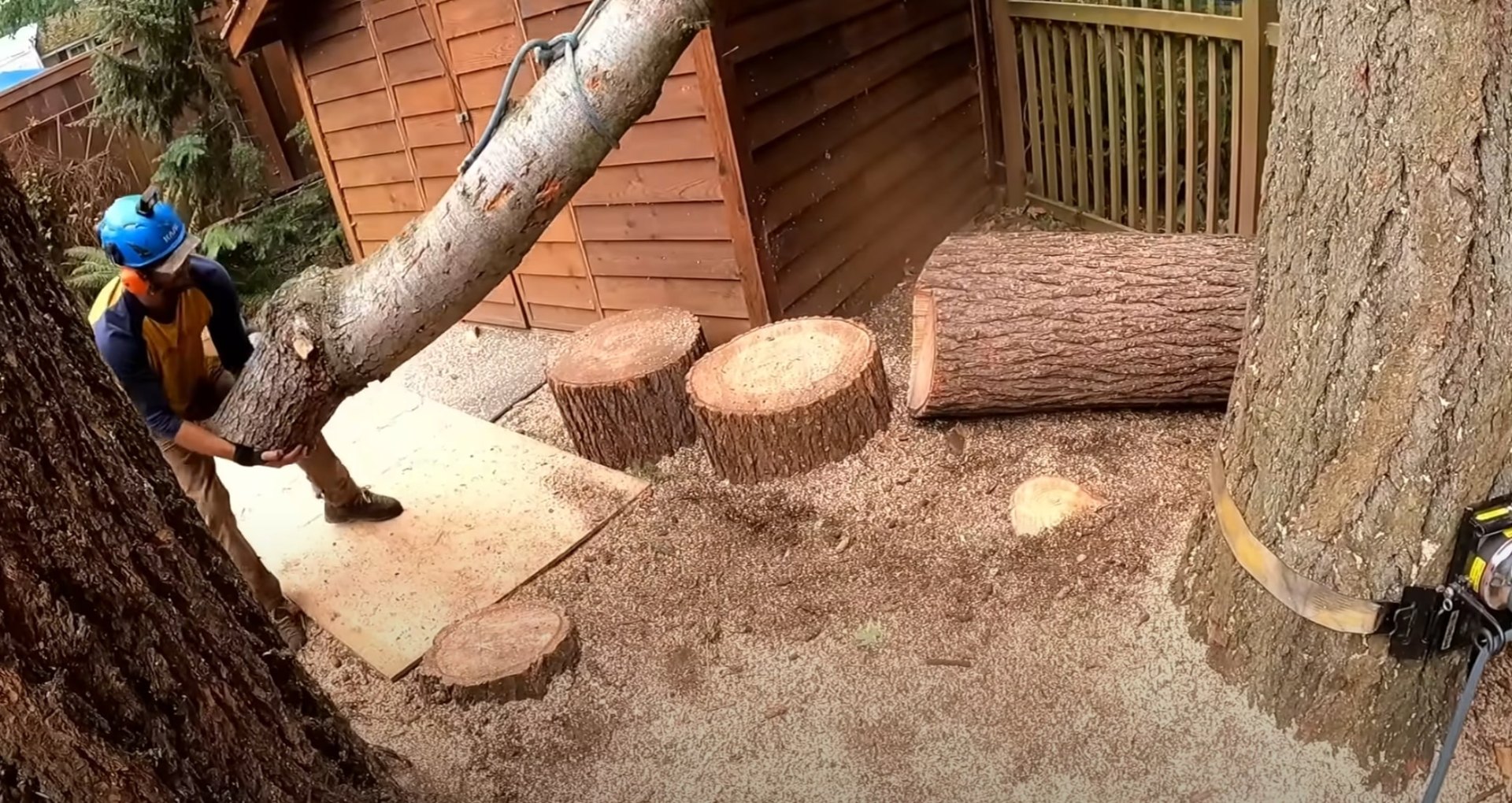 Complete Tree Processing - Professional handling from removal to cleanup Tree service crew processing large logs after professional tree removal